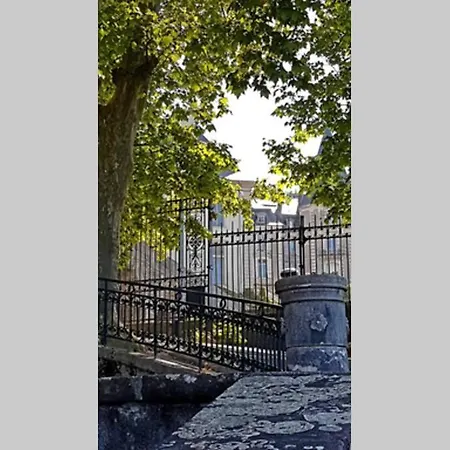 Magnolia : Superbe Deux-pieces Quartier Du Chateau * Pau