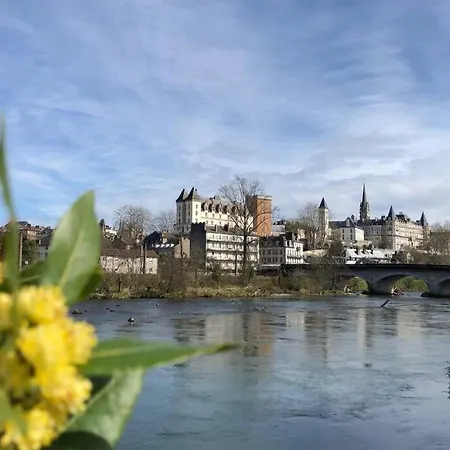 Magnolia : Superbe Deux-pieces Quartier Du Chateau * Pau