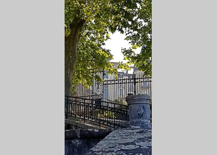 Magnolia : Superbe Deux-pieces Quartier Du Chateau * Pau