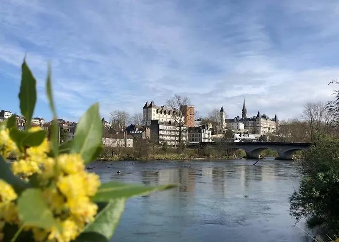 Magnolia : Superbe Deux-pieces Quartier Du Chateau * Pau